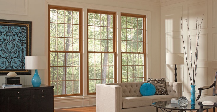 Gold Series Double Hung Window with Colonial Grids